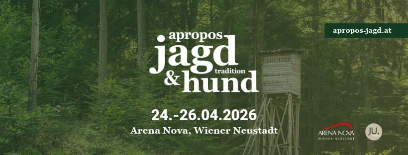 medienkit 11 facebook header