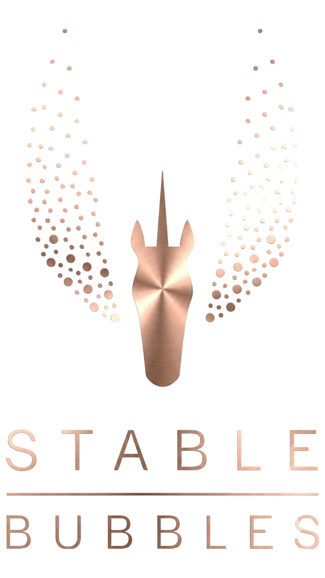AUSSTELLER Apropos Pferd 2026 144 Stablebubbles