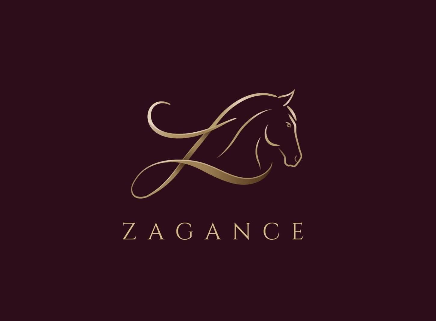 ZAGANCE 1